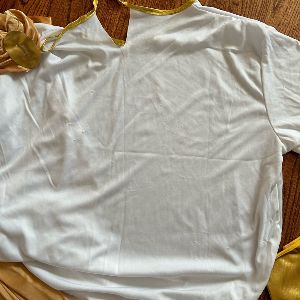 Men’s Caesar Costume - image 6